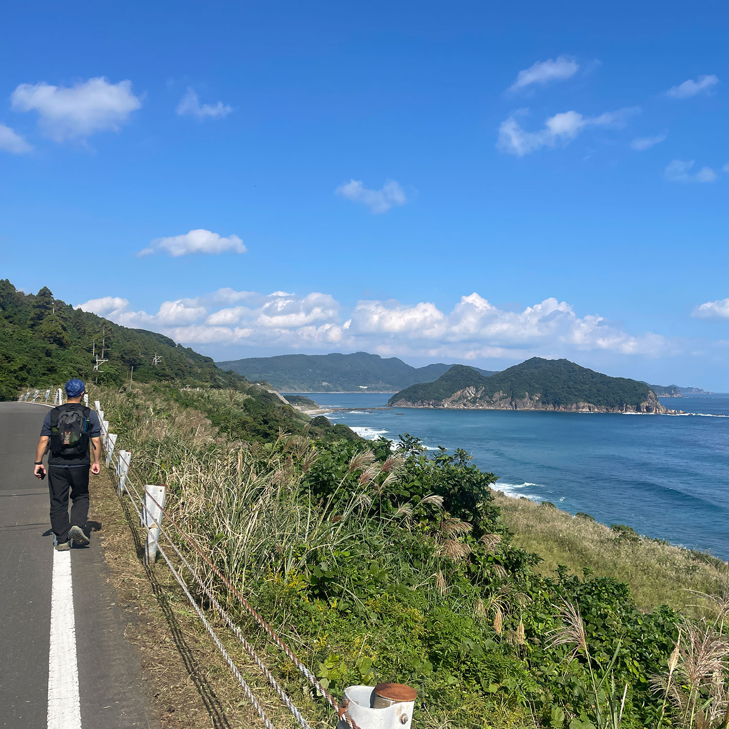 幸島が見えてきます