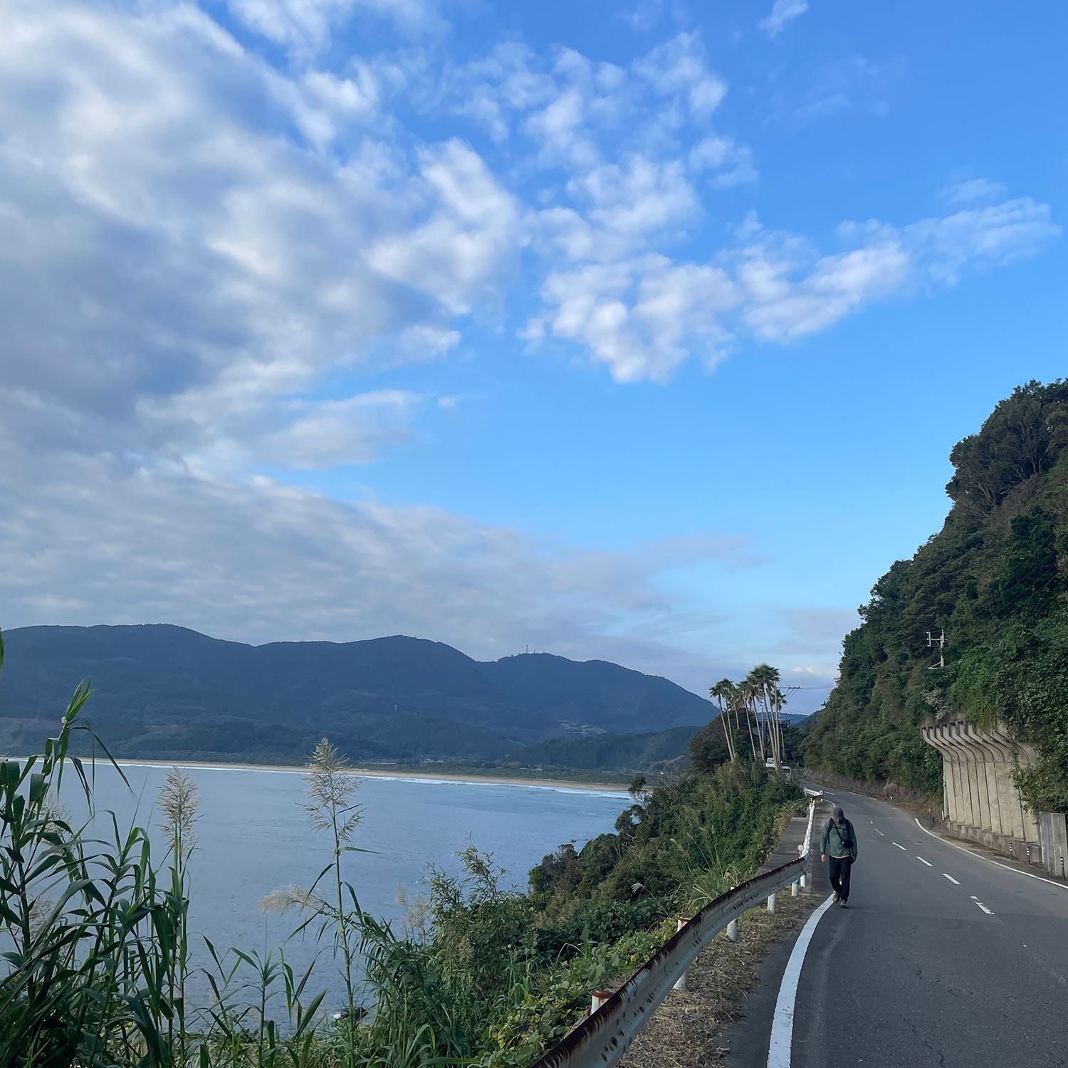 幸島のビーチを眼下に眺めながら